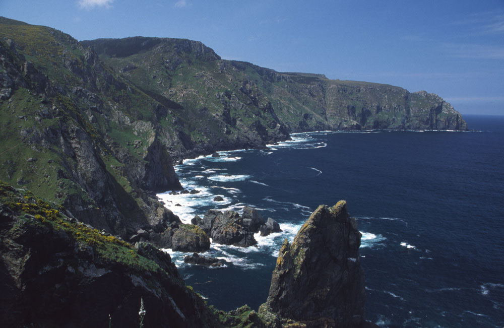 image-01.jpg