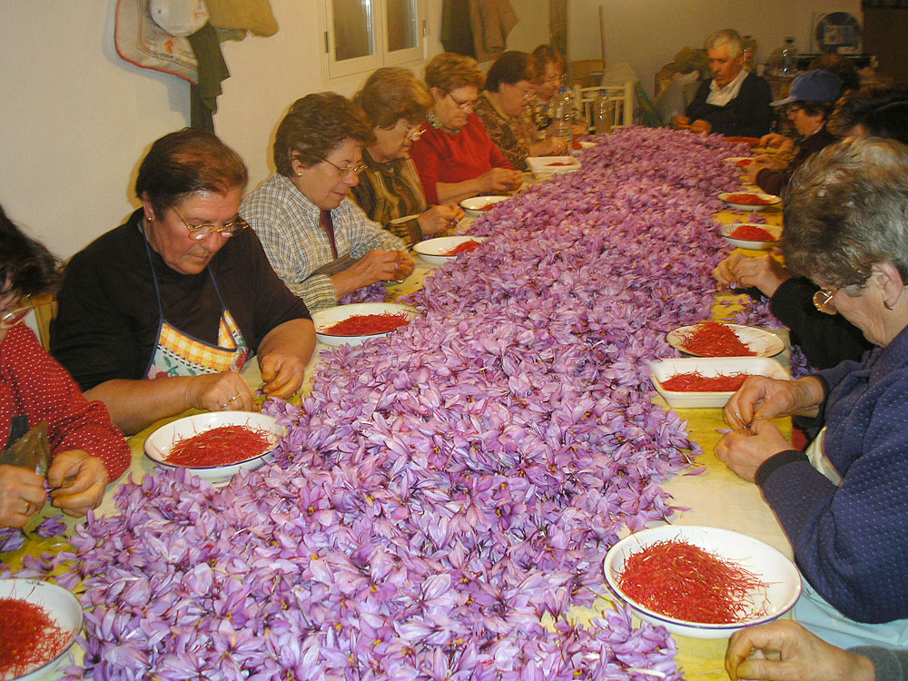 image-01.jpg